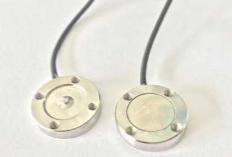 1115圖片1 1115圖片1